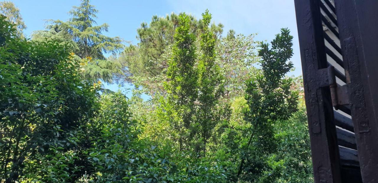 La Breccia A Porta Pia Bed & Breakfast Rome Bagian luar foto